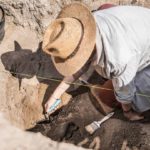 Digging Deeper: Stories in Local Archaeology